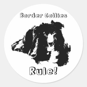 Colliese an der Grenze Regel Funny Dog Sticker