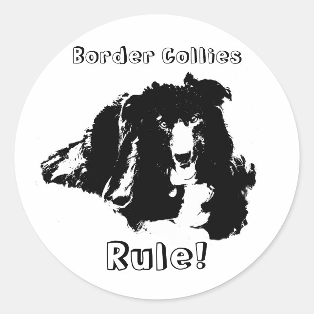 Colliese an der Grenze Regel Funny Dog Sticker (Vorderseite)
