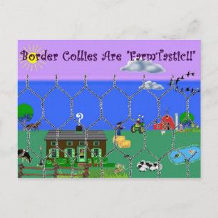 Colliese an der Grenze sind "Farm Tastic"~Postcard Postkarte