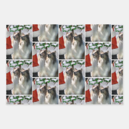 Colliese und Weihnachten Geschenkpapier Set