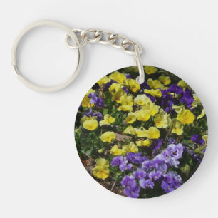 Colline de pensées violettes et jaunes