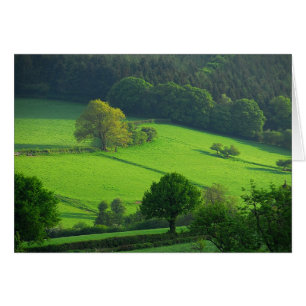 Collines vertes