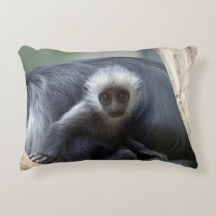 Colobus polykomos dekokissen