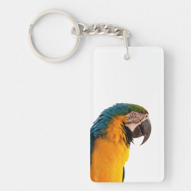 coloful Parrot  Schlüsselanhänger (Vorderseite)