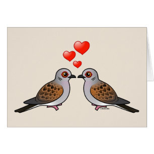 Colombes de tortue dans l'amour
