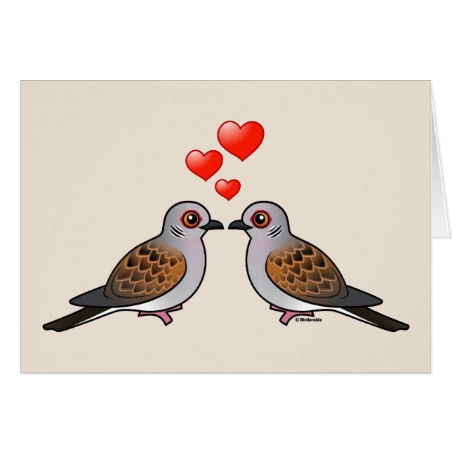 Colombes de tortue dans l'amour (Devant horizontal)