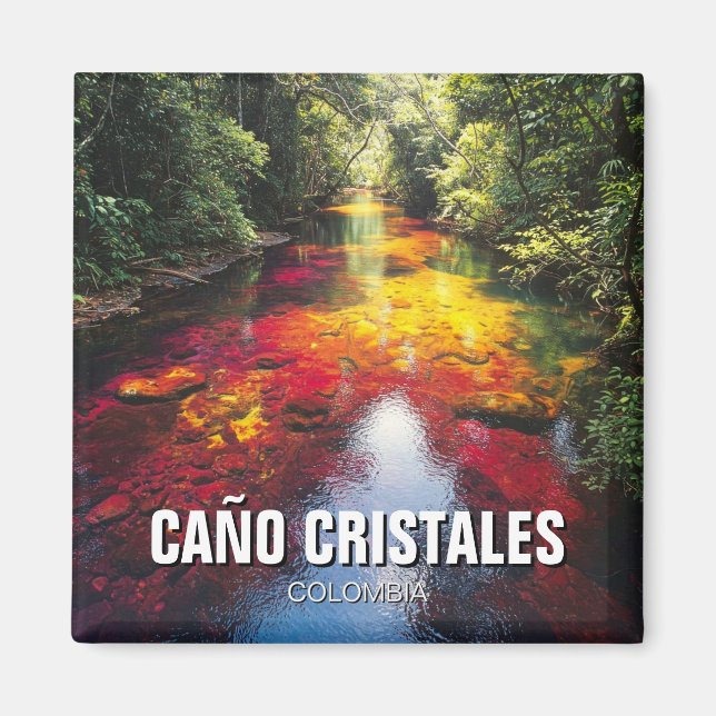 Colombia Cano Cristales Travel Magnet (Vorne)