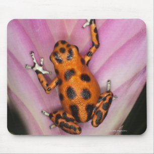 Colon Isle Dart Frog, Oophaga pumilio Mousepad