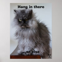 Colonel Meow hang dort hinein