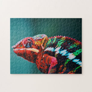 Color Changing Rainbow Chameleon Reptile