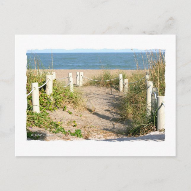 Color Florida Beach Dune Rope Walk Foto Postkarte (Vorderseite)