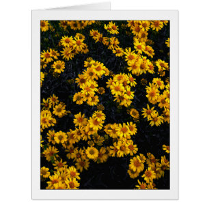 " Color Me Yellow "