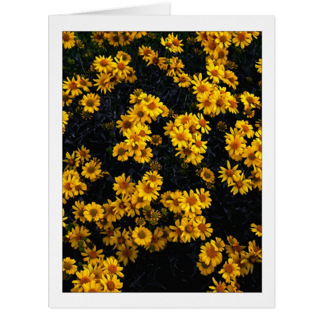 " Color Me Yellow " (Vorderseite)