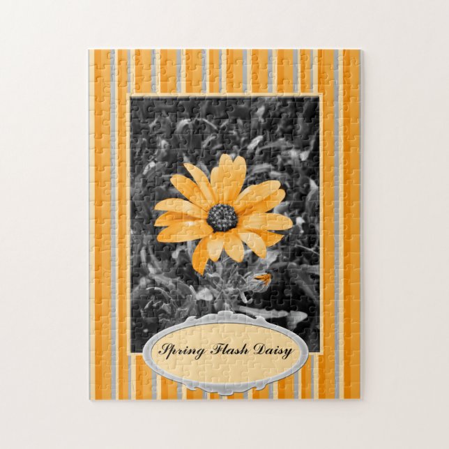 Color Splash Spring Flash African Daisy Fotografie (Vertikal)