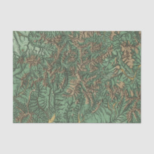 Colorado 5 2 seidenpapier