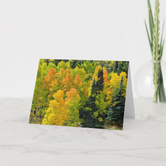 Colorado Aspen Grove Karte