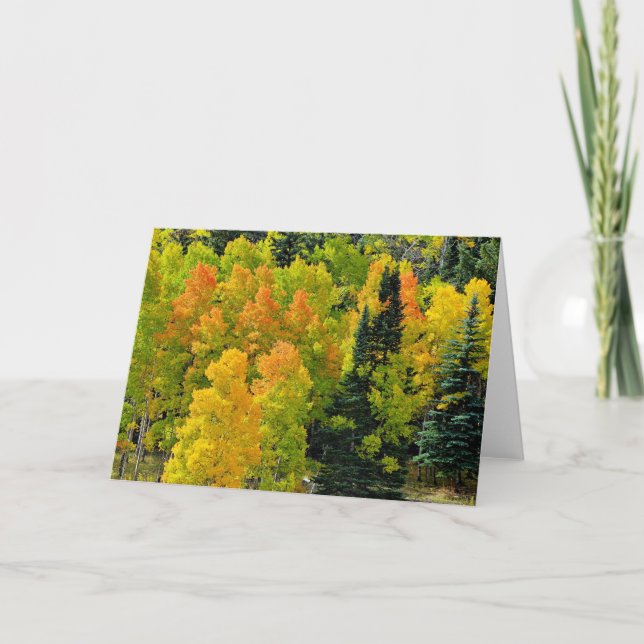 Colorado Aspen Grove Karte (Vorderseite)