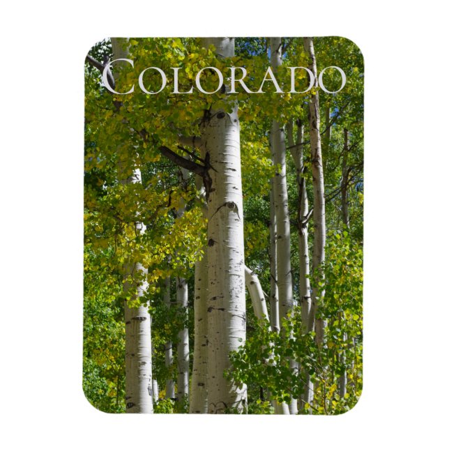 Colorado Aspens Designer Kühlschrankmagnet Magnet (Vertikal)