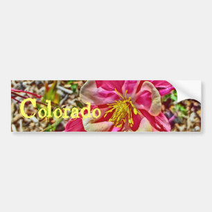 Colorado Autoaufkleber