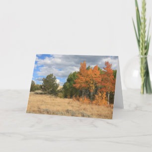 Colorado Autumn Aspen Trees Jeder Anlass Karte