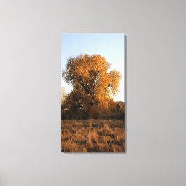 Colorado Beauty Leinwanddruck