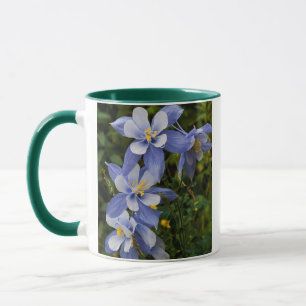 Colorado Blaue Akelei nahe Telluride Colorado Tasse