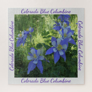 Colorado Blue Columbine Fleur sauvage Puzzle