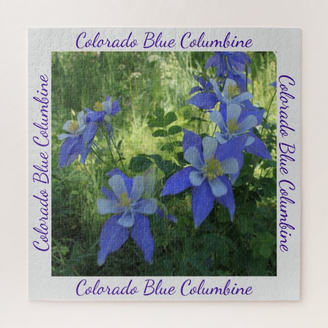 Colorado Blue Columbine Fleur sauvage Puzzle (Vertical)