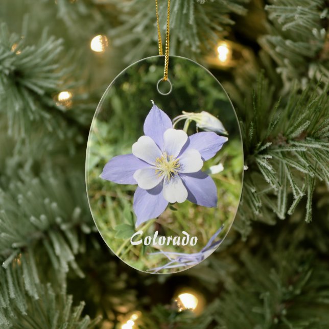Colorado Blue Columbine Ornament (Baum)