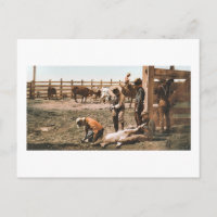 Colorado Branding 1904