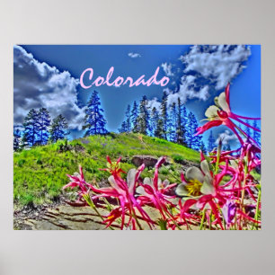 Colorado columbine affiche pittoresque