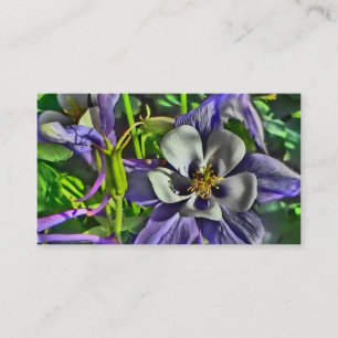Colorado Columbine Blume benutzerdefinierte Visite Visitenkarte