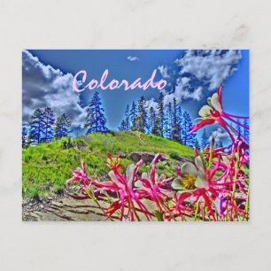 Colorado columbine Carte postale pittoresque
