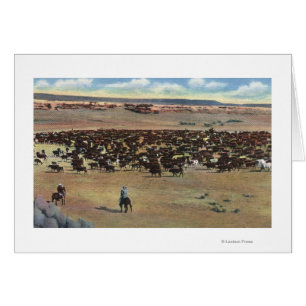 Colorado - Cowboy-Rundung