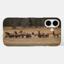 Colorado Elk Phone Case