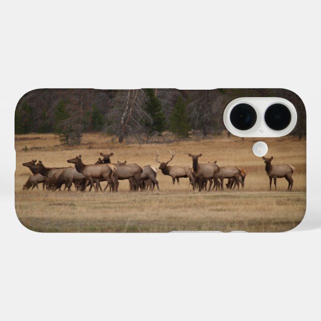 Colorado Elk Phone Case (Rückseite (Horizontal))