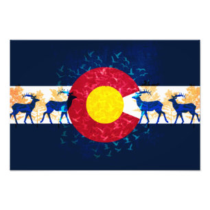 Colorado Fahne Naturkunst-Plakat Fotodruck
