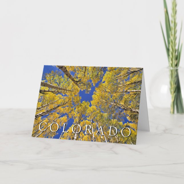 Colorado Fall | Aspen Forest | Happy Birthday Karte (Vorderseite)