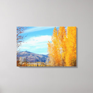 Colorado Fall Vista Wrapped Canvas Leinwanddruck