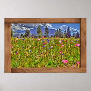 Colorado fleur sauvage vue montagne affiche