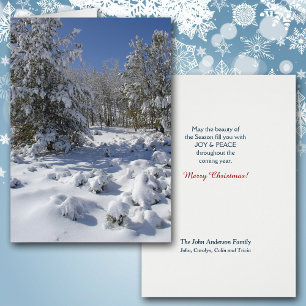 Colorado Forest Beauty Weihnachtskarte