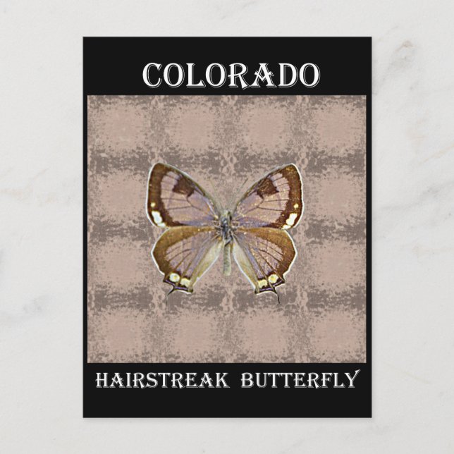 Colorado Hairstreak Butterfly Postkarte (Vorderseite)