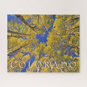 Colorado Herbst Espenwald im Herbst
