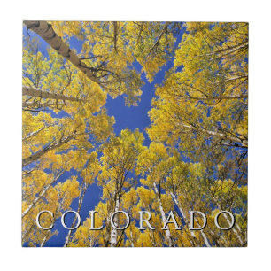 Colorado Herbst Espenwald im Herbst Fliese