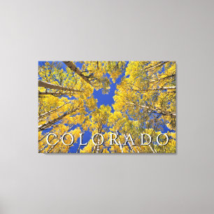 Colorado Herbst   Espenwald im Herbst Leinwanddruck