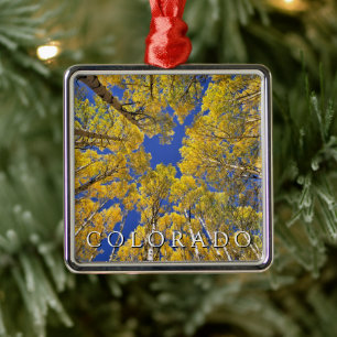 Colorado Herbst   Espenwald im Herbst Ornament Aus Metall