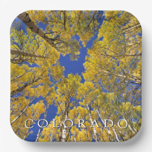 Colorado Herbst   Espenwald im Herbst Pappteller
