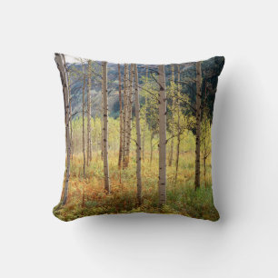 Colorado, Herbstfarben von Aspen Kissen