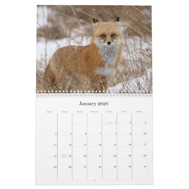 Colorado Kalender (Jan 2026)