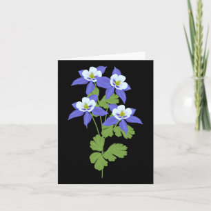 Colorado Kolumbien Blume Wildblume Natur Wandern Karte